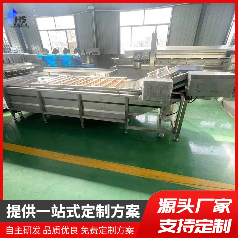 Máquina de limpieza de burbujas de frutas y verduras comerciales Máquina de enjuague de papas y cebollas Máquina de limpieza de frutas frescas de acero inoxidable gran equipo de secado por aire