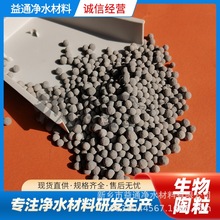 水处理生物陶粒滤料 生物滤池用陶粒 污水处理曝气池生物陶粒
