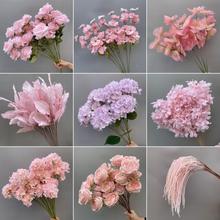 ɫϵ滨ˇcõ彑b̨·廨Yòû