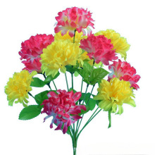 ���l�ֹ���������12�^���潁���ջ�������ʼ�ɫ���|����ջ��ѻ�