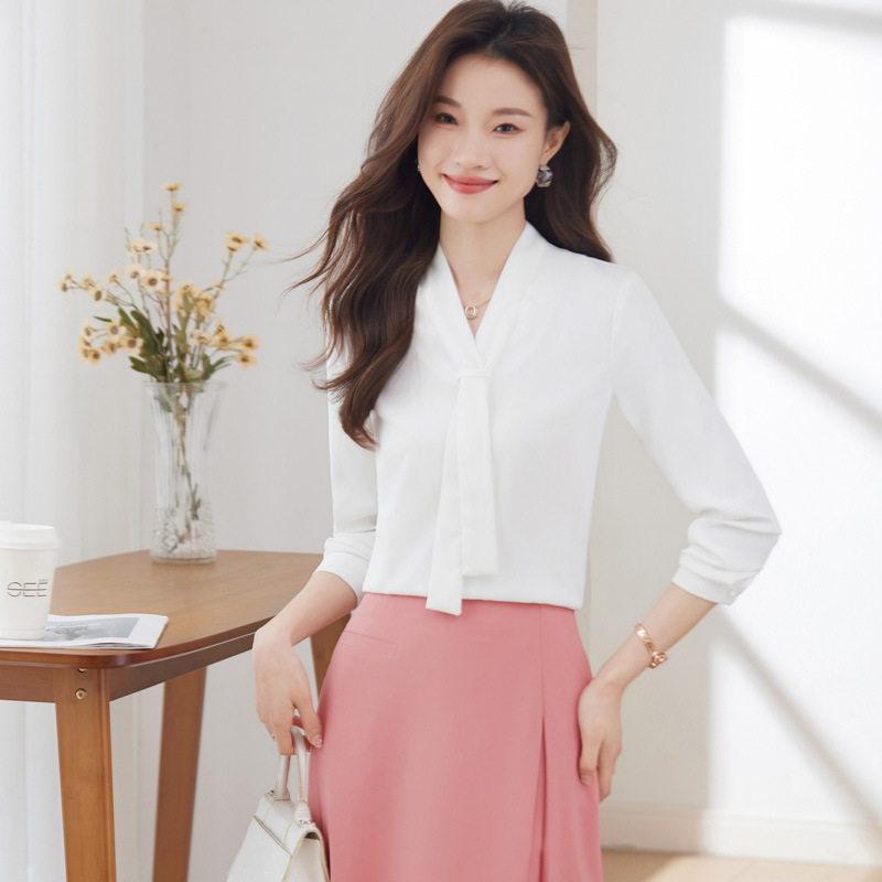 Autumn fashionable professional shirt