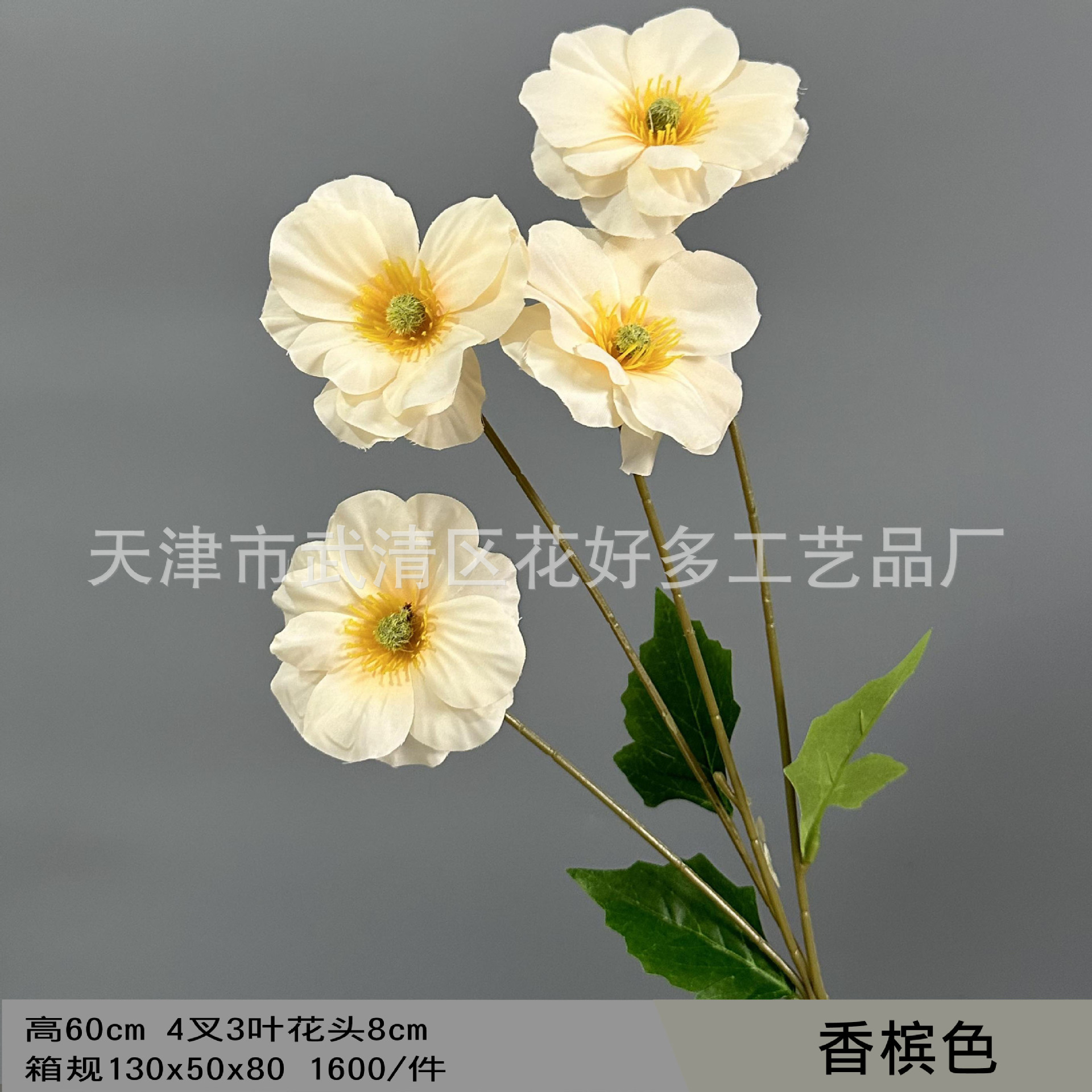 샴페인