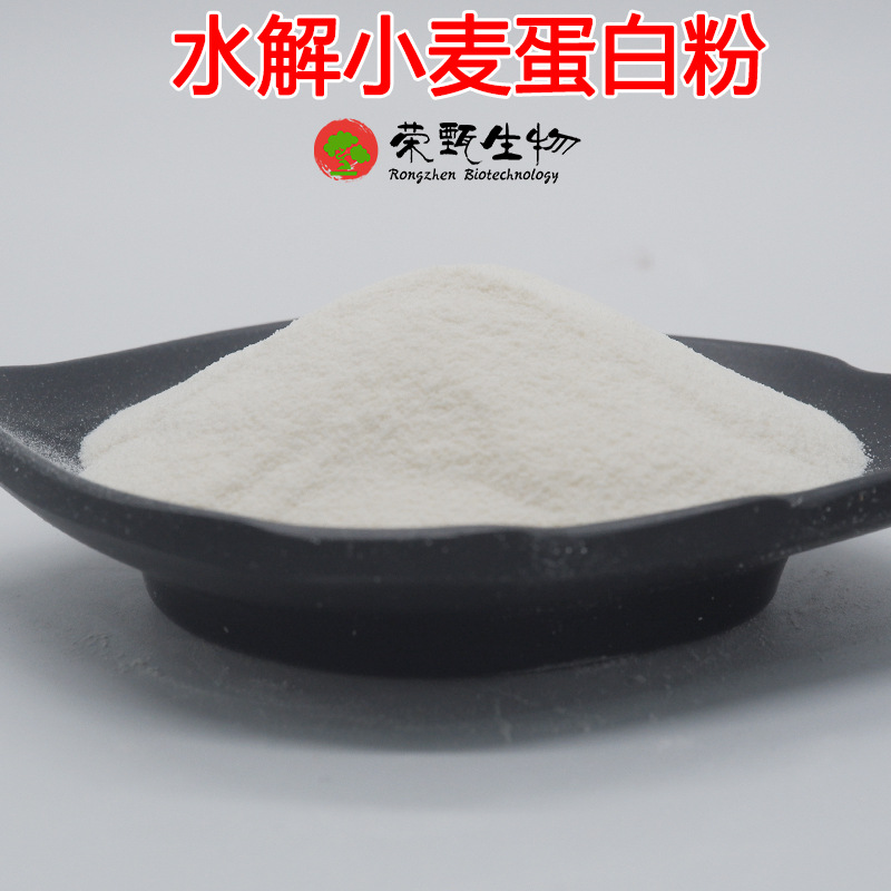 水解小麦蛋白粉90% 荣甄生物供应 小麦蛋白粉  水溶性 量大从优
