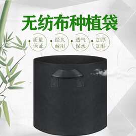厂家供应毛毡种植袋无纺布美植袋毛毡多格长方形种植袋4口6口8口