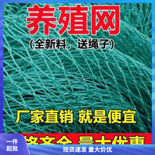 养殖网养鸡网围栏网尼龙网拦鸡网家禽塑料网护栏网防护网菜园围网