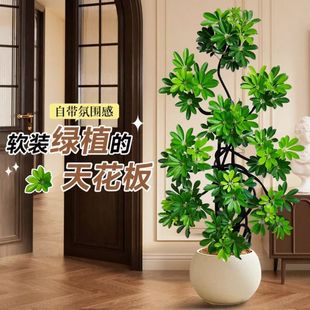 �������_ľ�҃���ؾGֲ��������ľ�����՚��k���ҿ͏d�ļ�����