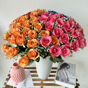 24�^ƽ�^õ�����컨�F؛���l��c�쾰����ٻ�����������