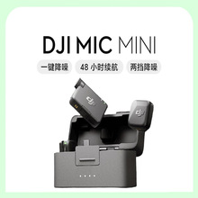 �m��  Mic Mini  ����o������A�I�����Lֱ���֙C����