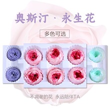 ��Ϲ��S�W˹͡������A��õ�廨�^4cm10���b���r��diy���������l