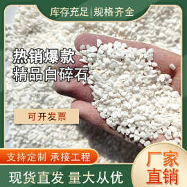 白石子白色水磨石白碎石白色石庭院鱼缸造景厂家供应园艺小白石