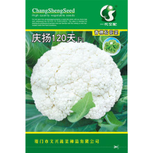 �c�P120���ɻ��˷N�ӿ��������ͺ��a���S�������M��2000���˷N��