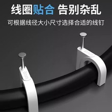 �ᔾ����A��늾��̶������ӾW���۠�ᔾ��늾����������� 100��