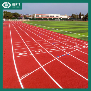 Factory Direct Sales of Epdm Granules for In-Situ Plastic Track Repair and Sports Field Plastic In-Situ Construction