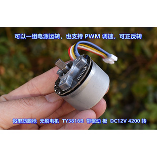 DC12V Ĥ��oˢ늙C TY3816B ΢�� ֧�������D PWM �{�� �R�_