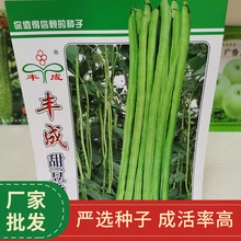 广西农科院蔬菜研究所育成甜豆角长豆角大田种植蔬菜种子批发