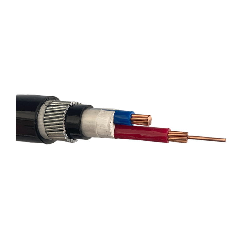 ZR-YJV32-2×10白底(5)