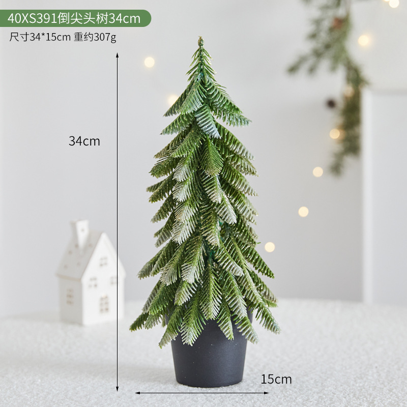 40XS391 역뾰족나무 34cm