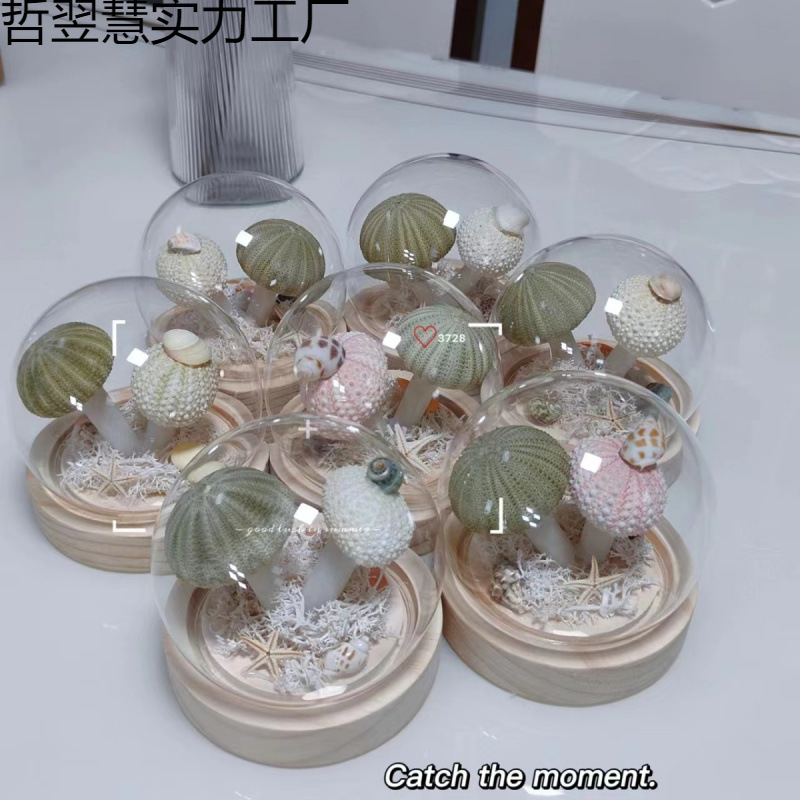 diy海胆贝壳小夜灯ins灯蘑菇灯手工伴手礼送闺蜜女友生日结婚礼物|undefined