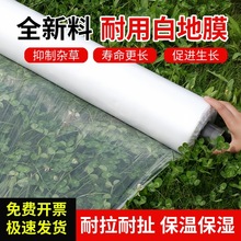 rðɫĤϱĤӺNֲϩϼرN˹