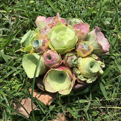 산장미 랜덤B조합 5개 (현재 성장기, 녹색)