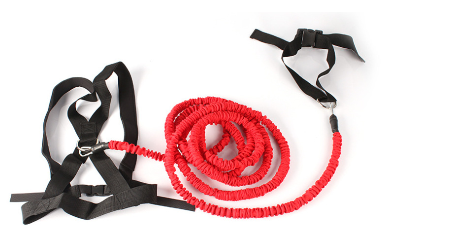 Resistance Training Bands Image 2