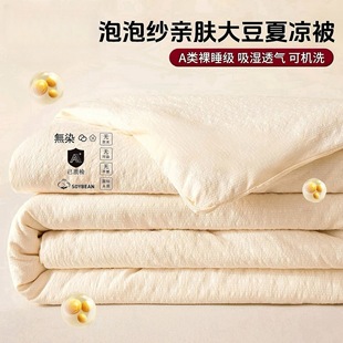 Class a Soy Fiber Summer Cool Quilt Air-Conditioned Quilt Single Thin Summer Quilt Machine Washable Spring & Fall Quilt Core Student Dormitory