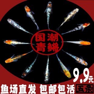 �^�����F�ǹ��~�ѵ�ˮ��ˮС���^�p�~���~���������B���˹ŷ��B�~