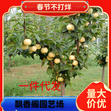 һ�����l�������玧�����������Ӽ޽����Ϸ�����ɳ�������ڻ�