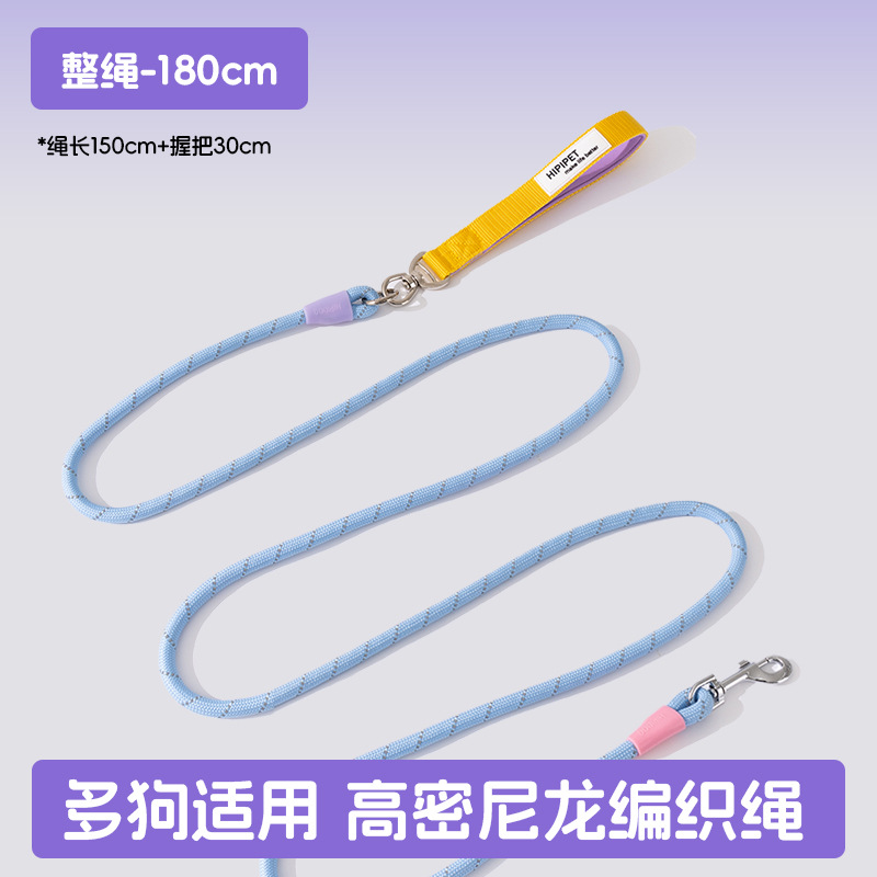 Los perros salen, perros pequeños y medianos, contraste de moda, uno arrastra tres, cuerda de tracción, muchos perros paseando a su perro, cuerda para perros, suministros para perros