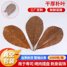 �S�ҬF؛���l�ɺ����~ ��հ��b�����Ә��~ ���Ͽ���[�P�b��~��