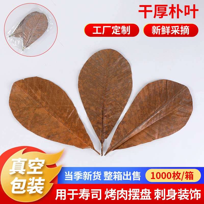 Фабрика в наличии Оптом Сушеные Листья магнола вакуумная упаковка целая коробка листьев магнола японская тарелка для барбекю декоративные листья