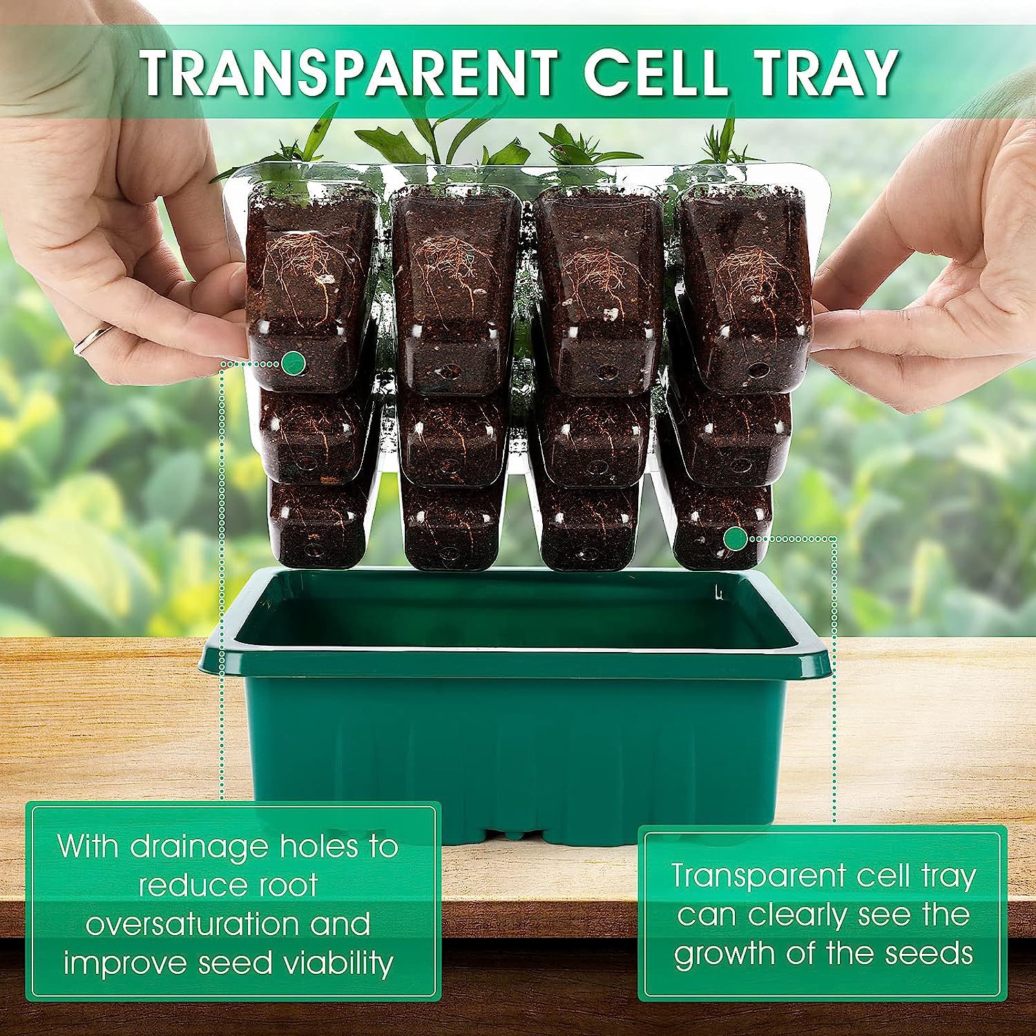 Actualizado espectro completo profesional 8 lámpara redonda plántulas + 12 Agujeros 4 traje de alta cubierta de plántulas olla