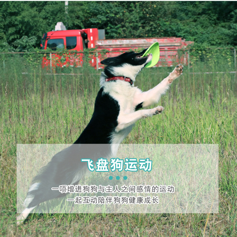 软胶飞盘_15.jpg