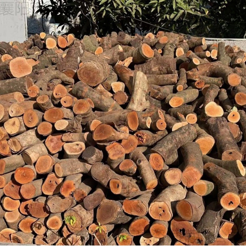 Firewood for Fireplace, Lychee Wood, Firewood for Steak, Fruit Wood, Bonfire, Logs, Dry Firewood for Home Kitchen, China Haohang Wholesale