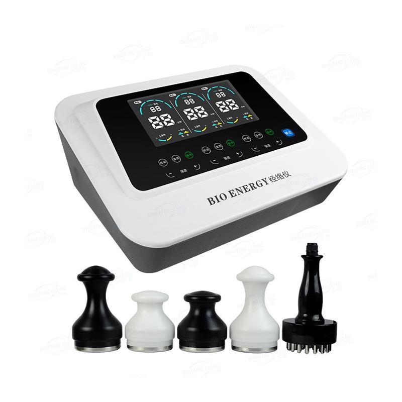 Evergreen China Bio Vitality Value Meridian Meter Vitality Value Meridian Meter 理学療法およびヘルスケア機器|undefined