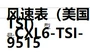 美国cxl6-tsi-9515m275381风速表