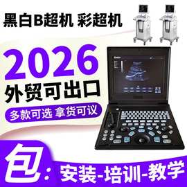 超声波机彩超机B超机 厂家 价格 超声波医院同款设备 双探头B超机