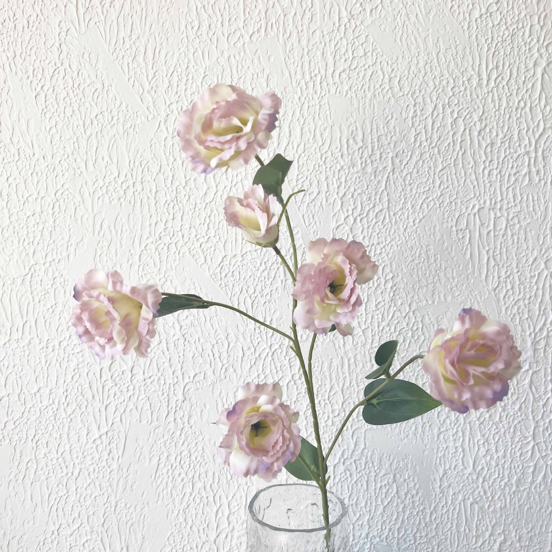 6 Platycodon grandiflorum lila