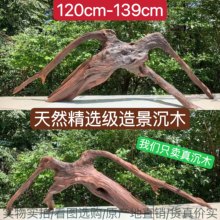 树木造景120cm-139cm大型沉木南美多枝枝条树桩龟晒台紫柚木