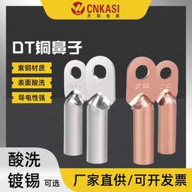DT铜鼻子冷压接线端子电缆线耳加厚紫铜酸洗镀锡接线头AB级现货