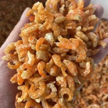 新货中号海米干虾仁干批发 舟山海米淡干可即食 大量现货批发