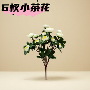 ���滨�軨6�С���Sֱ�N��Y���þƵ��b����޾Ӽһ���