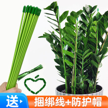 ���X��֧�ΗU�@ˇ���ܻ���ֲ����������ټܺ����m�������F�z�̶�