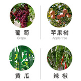 德国巴斯夫 Baitai Pyrazolestestobin Dysenone Downy Behing Behice Behisy Becory Behiscide Пестицид 20G