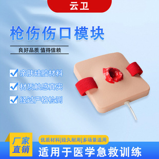 枪伤伤口模块优质硅胶医学生出血控制止血练习模型部队急救-阿里巴巴