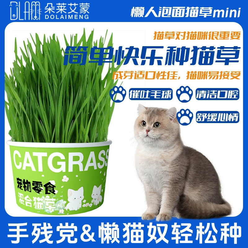 Консервированная гидропонная трава для ленивых кошек, без почвы, шарик для удаления волос для улучшения пищеварения, закуски, лапша быстрого приготовления, кошачья трава, кошачьи принадлежности для домашних животных в горшках