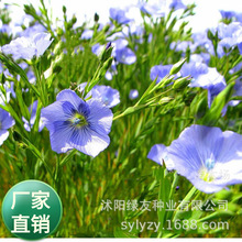 ���l�������޸����ܷN���{������ر��m��������ͺ�ͥԺ�̨�׻�