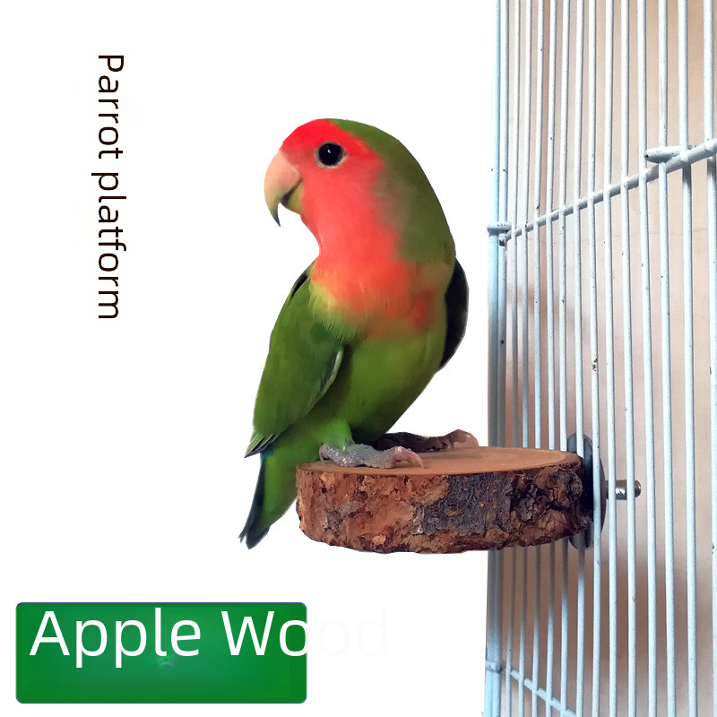 Papageienständer Bild 4