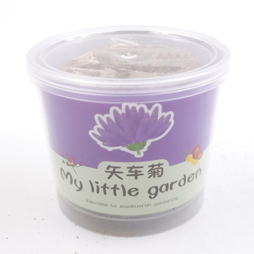 Office potted plants watering grassy grass doll mini plant planting and cultivation creative grass head doll wholesale