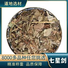 中药材 七星剑 假芥兰 星色草 酒瓶草 痱子草 小叶不红 支持药检
